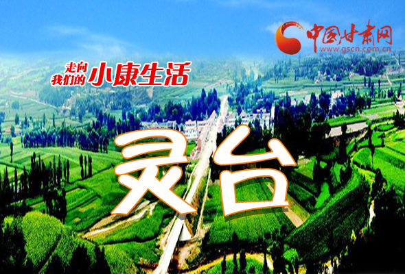 【走向我们的小康生活】长图|灵台：产业花开富万家